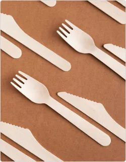 Talheres Descartáveis